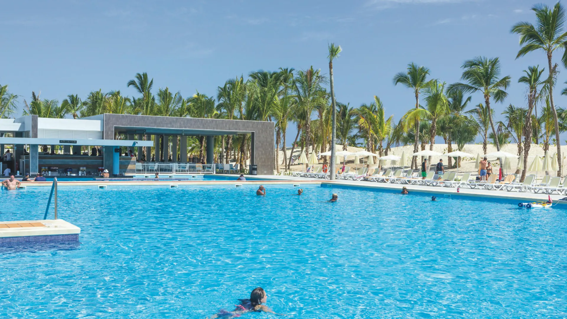 Resort Riu Republica (Adults Only) Hotel Punta Cana